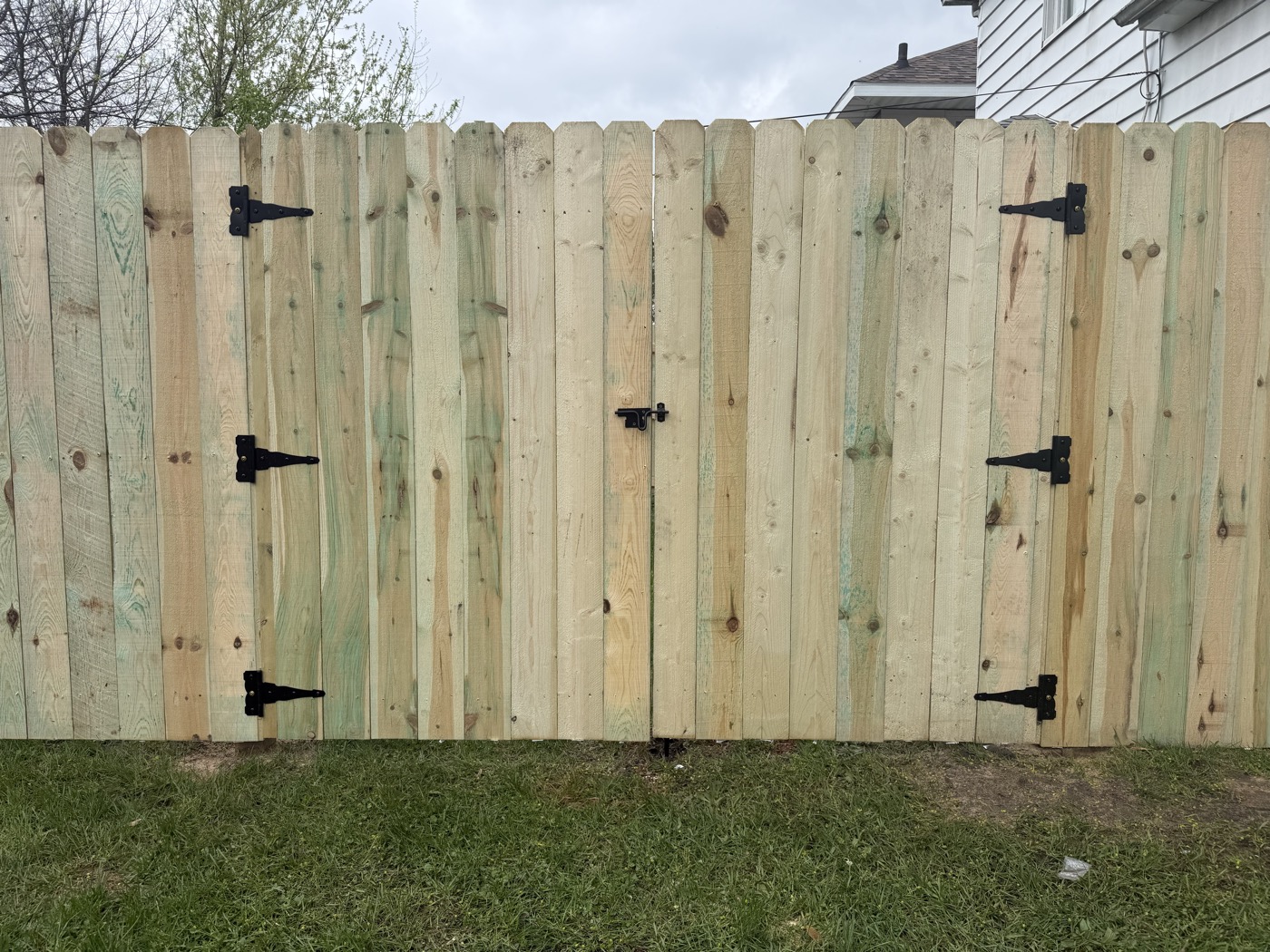 Fencing project